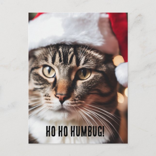 Festive Tabby Postcard (Front)