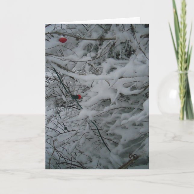 "Festively Fluffed" Christmas Card (Front)