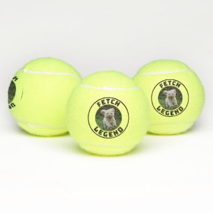 Fetch Legend Tennis Balls