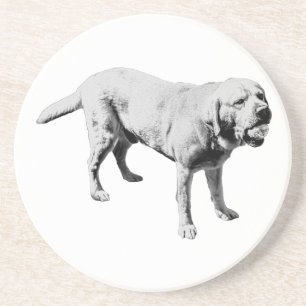 Fetch Pause Coaster