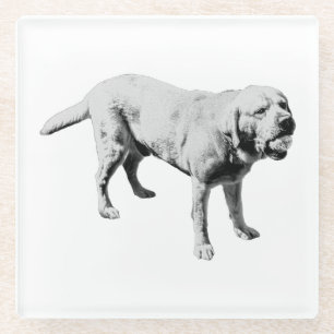 Fetch Pause Glass Coaster