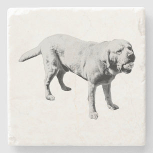 Fetch Pause Stone Coaster