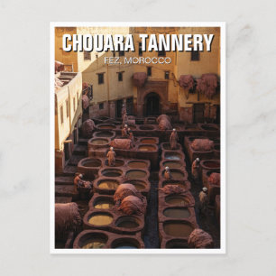 Fez Morocco Travel Postcard