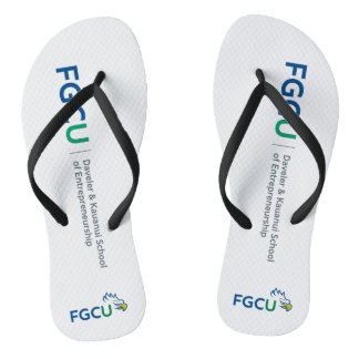 FGCU DKSOE: Flip Flops