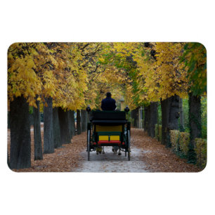 Fiaker In Schönbrunn, Wien Österreich Magnet