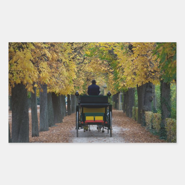 Fiaker In Schönbrunn, Wien Österreich Rectangular Sticker (Front)