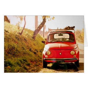 Fiat 500, Cinquecento in Italy