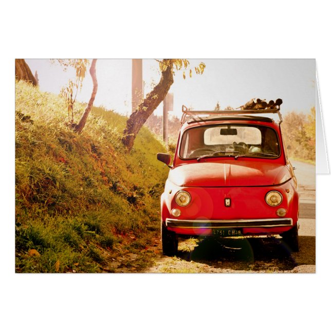 Fiat 500, Cinquecento in Italy (Front Horizontal)