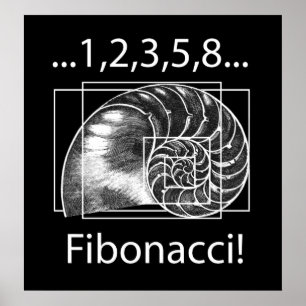Fibonacci Poster