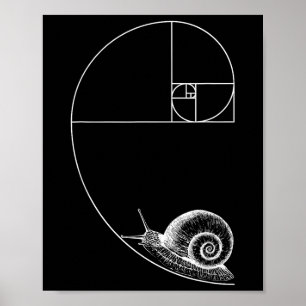 Fibonacci With Snail Mathematics Math Teacher Geom Poster
