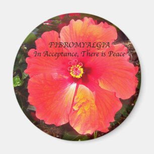 Fibro Acceptance Magnet