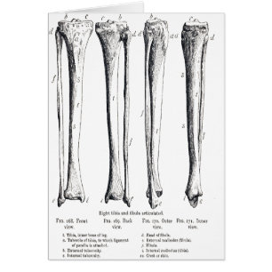 Fibula & Tibia Card