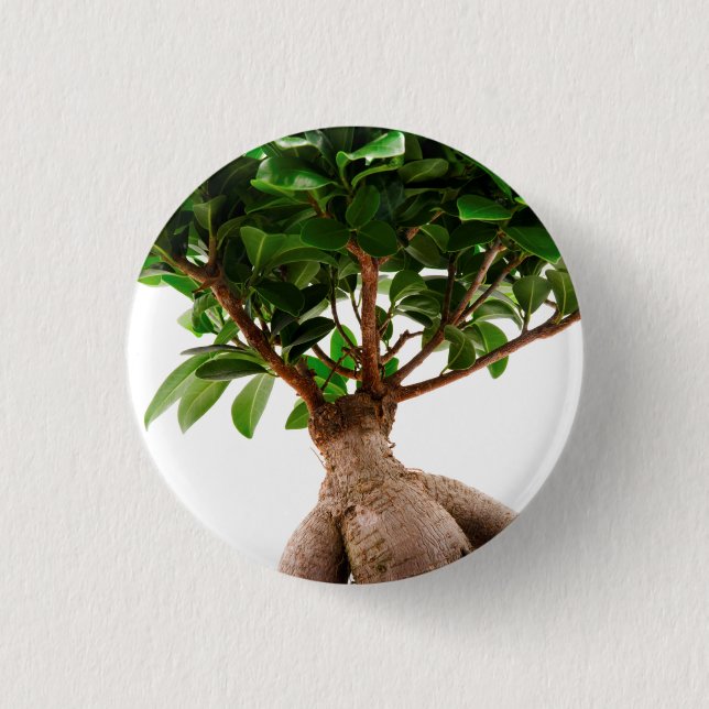 Ficus Ginseng 3 Cm Round Badge (Front)