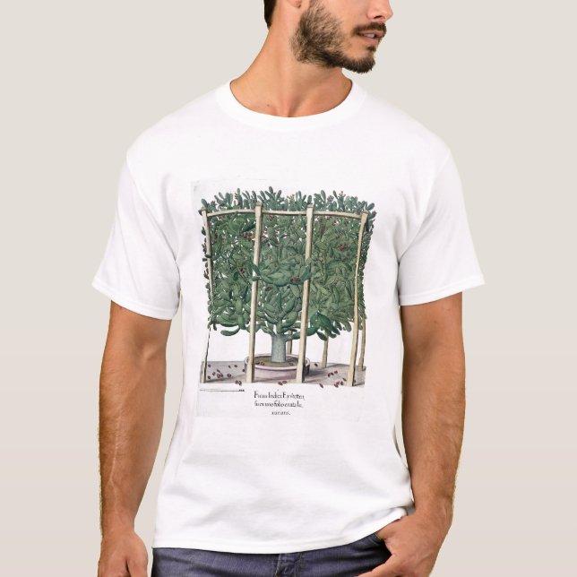 Ficus indica eystettensis, from the 'Hortus Eystet T-Shirt (Front)