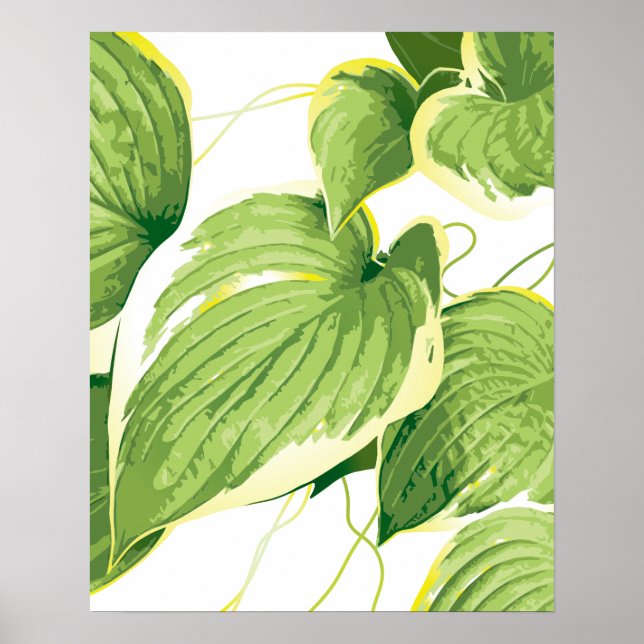 Ficus Plant 2 Poster (Front)