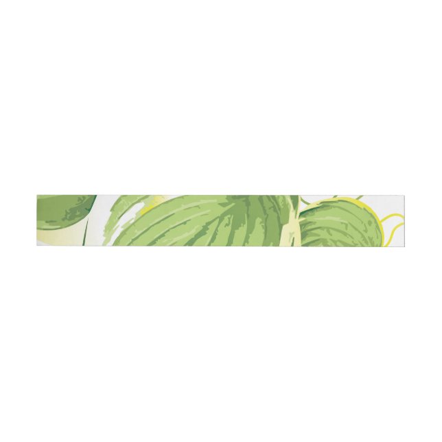 Ficus Plant 2 Wrap Around Label (Individual)