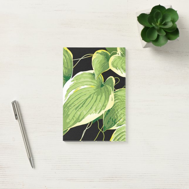 Ficus Plant 3 Post-it Notes (Office)