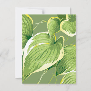 Ficus Plant 5 Card