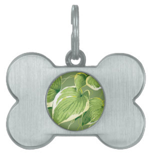 Ficus Plant 5 Pet ID Tag