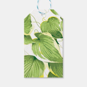 Ficus Plant Gift Tags