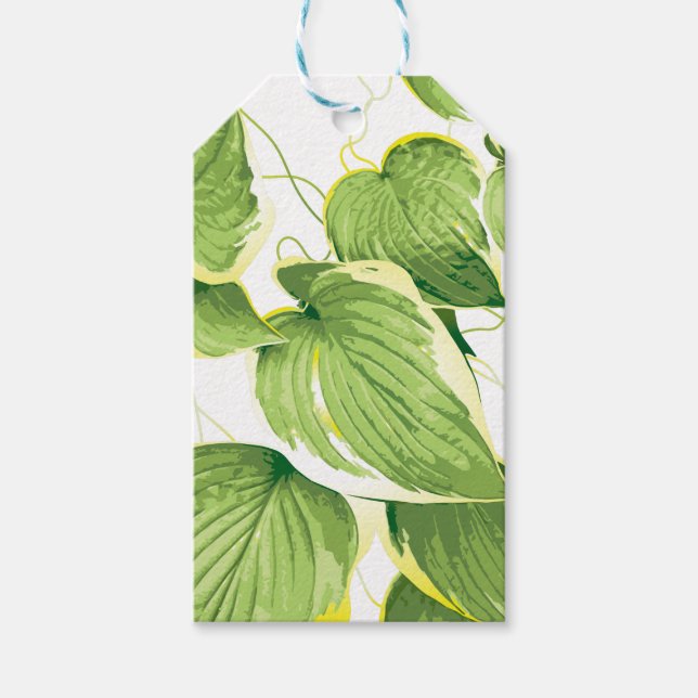 Ficus Plant Gift Tags (Front)