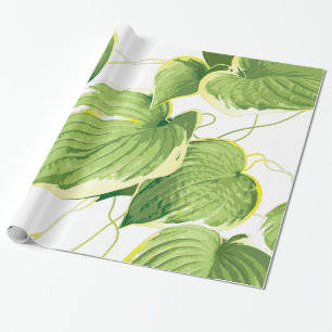 Ficus Plant Wrapping Paper