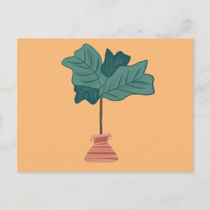 Fiddle Fig Tree Green Potted Plant Illustration Postcard