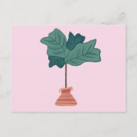 Fiddle Fig Tree Green Potted Plant Pink
