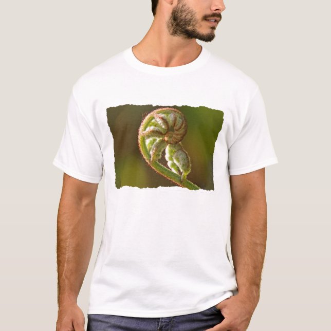 Fiddlehead Fern T-Shirt (Front)