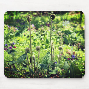 Fiddlehead Ferns And Flowers Mouse Pad