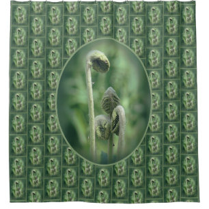 Fiddlehead Ferns Nature Pattern Shower Curtain