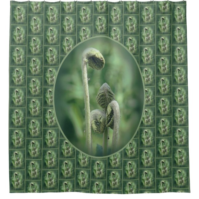 Fiddlehead Ferns Nature Pattern Shower Curtain (Front)