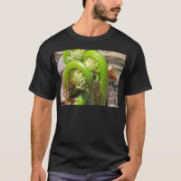 Fiddleheads