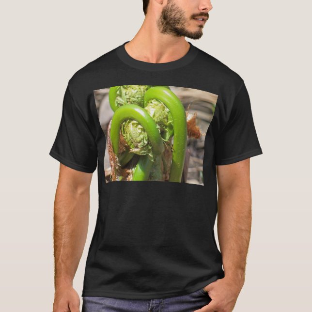 Fiddleheads T-Shirt (Front)