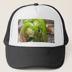 Fiddleheads Trucker Hat