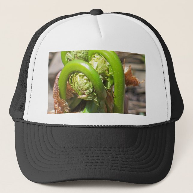 Fiddleheads Trucker Hat (Front)