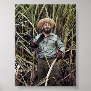 Fidel Castro Poster