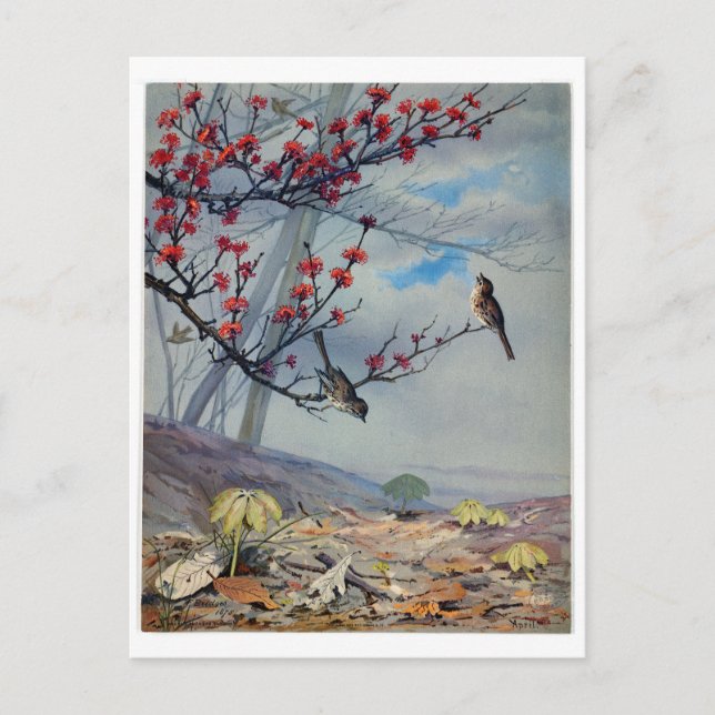 Fidelia Bridges Holiday Postcard (Front)