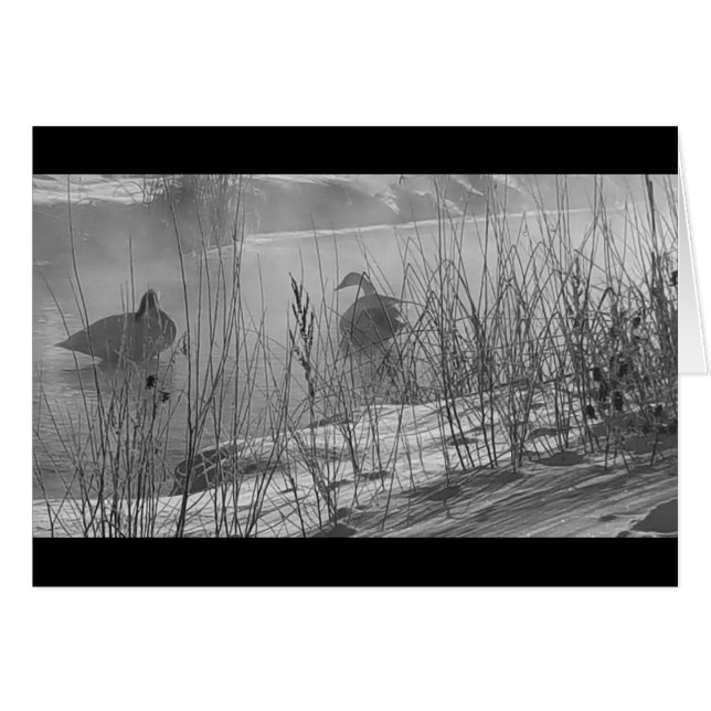 Fidelity ~ winter swans card (Front Horizontal)