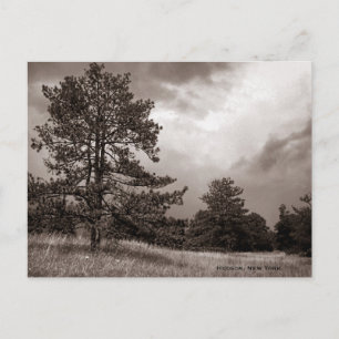 Field and Tree Photo, Hudson, New York Postcard