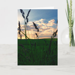 Field at Dusk - Deepest Condolences Card