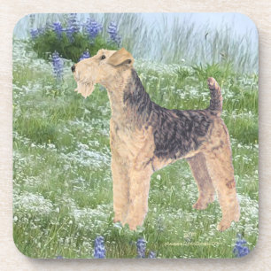 Field Flowers Coaster
