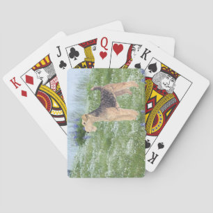 Field Flowers Playing Cards