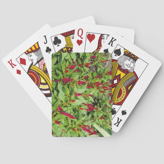 Field Full of Flowers Deck of Playing Cards (Back)