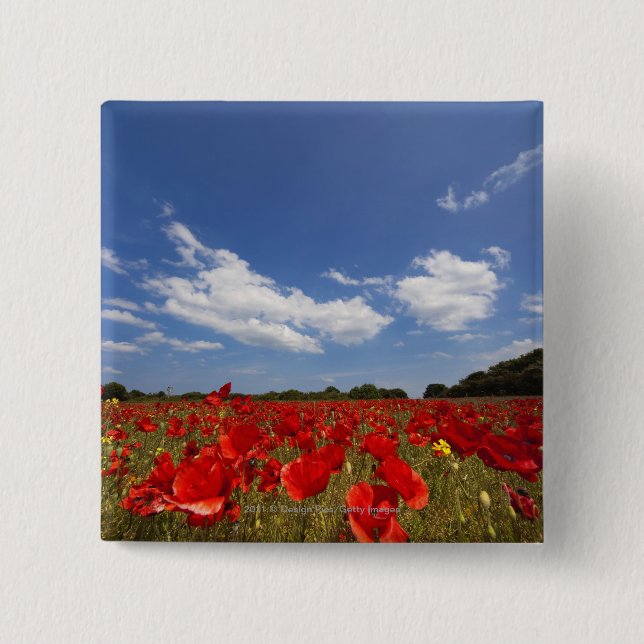 Field Full Of Red Flowers 15 Cm Square Badge (Front)