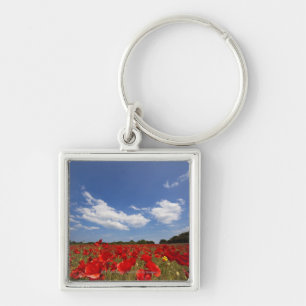 Field Full Of Red Flowers Key Ring