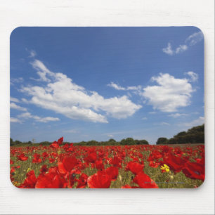 Field Full Of Red Flowers Mouse Pad