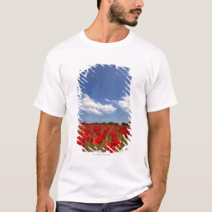 Field Full Of Red Flowers T-Shirt