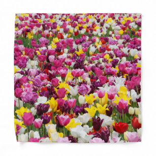 field full of tulips bandana