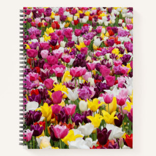 field full of tulips notebook